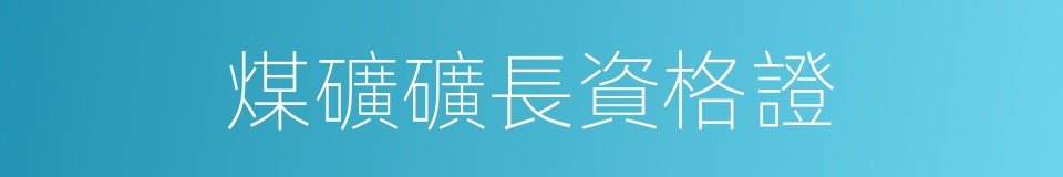 煤礦礦長資格證的同義詞