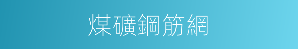 煤礦鋼筋網的同義詞