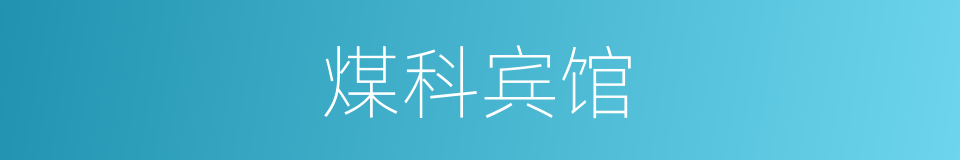 煤科宾馆的同义词