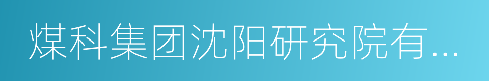 煤科集团沈阳研究院有限公司的同义词