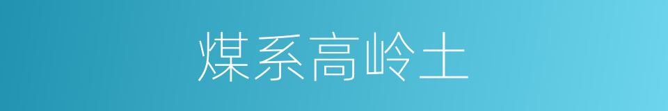 煤系高岭土的同义词