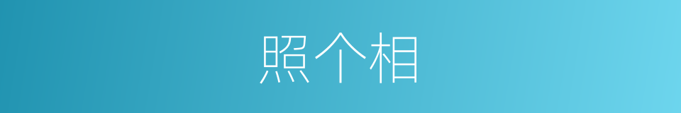 照个相的同义词