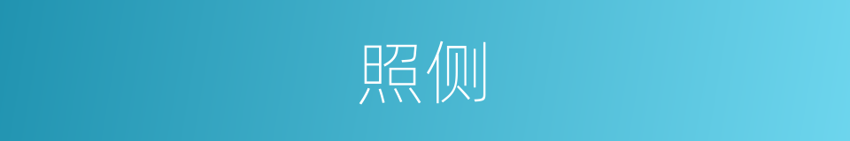 照侧的同义词