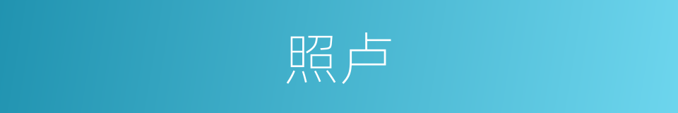 照卢的同义词