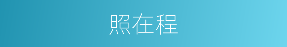 照在程的同义词