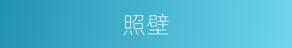 照壁的意思