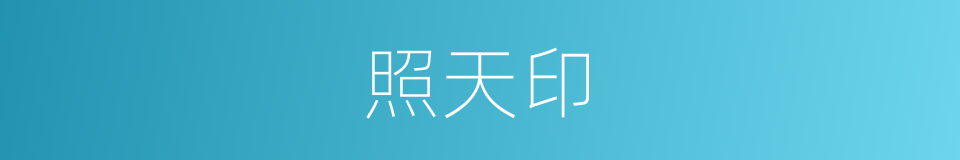 照天印的同义词
