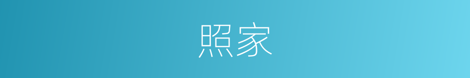 照家的同义词