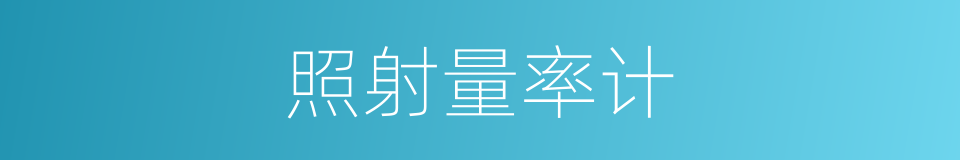 照射量率计的同义词