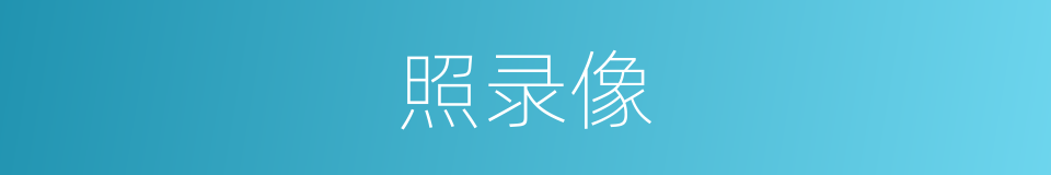 照录像的同义词