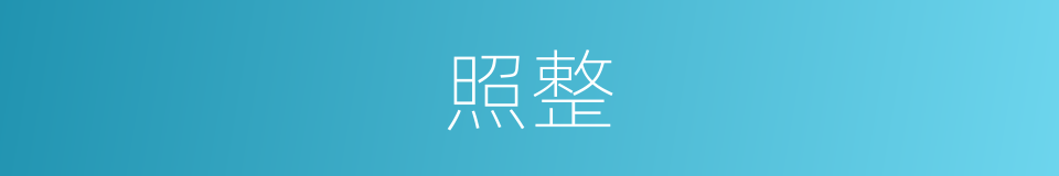照整的同义词