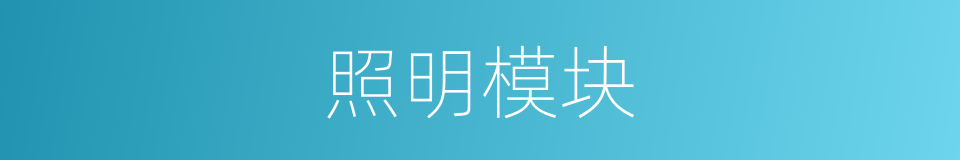 照明模块的同义词