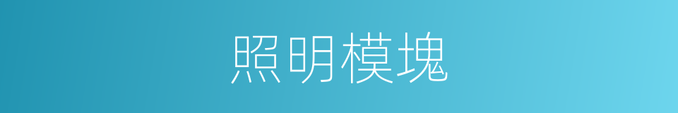 照明模塊的同義詞