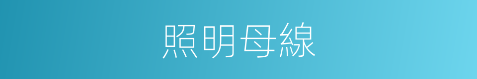 照明母線的同義詞