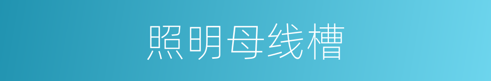 照明母线槽的同义词