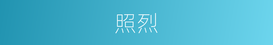 照烈的同义词