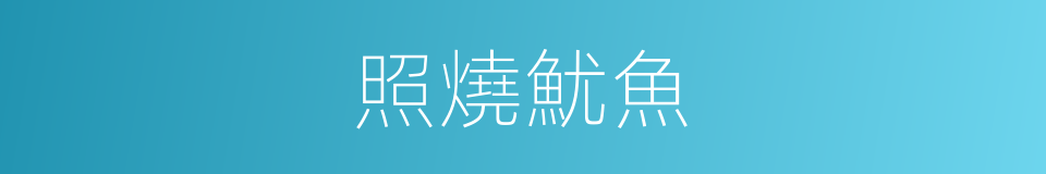 照燒魷魚的同義詞