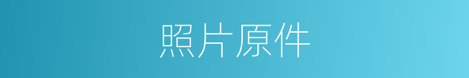 照片原件的同义词