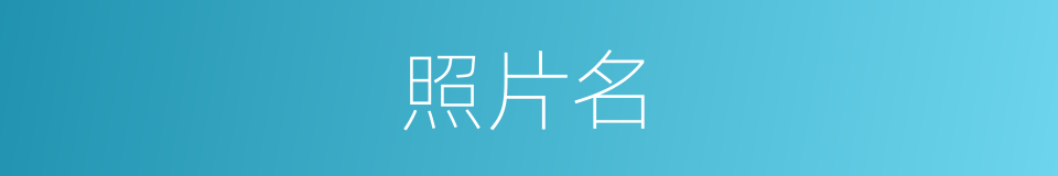 照片名的同义词