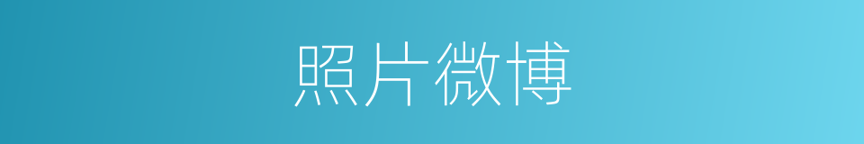 照片微博的同义词