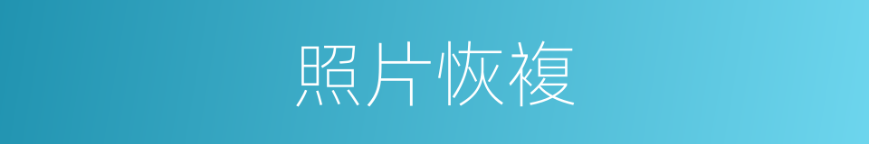 照片恢複的同义词