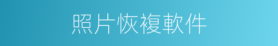 照片恢複軟件的同義詞