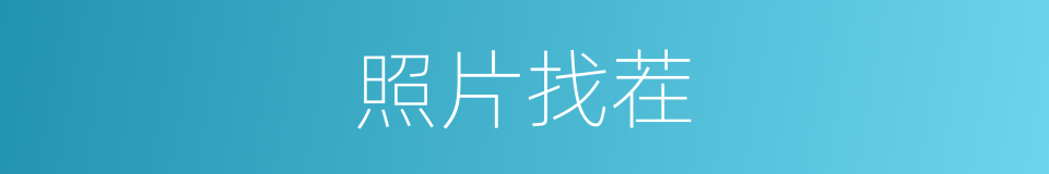 照片找茬的同义词