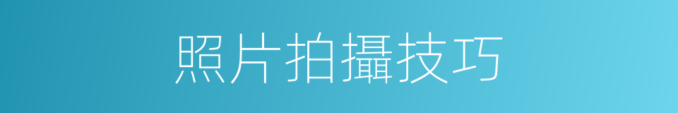 照片拍攝技巧的同義詞