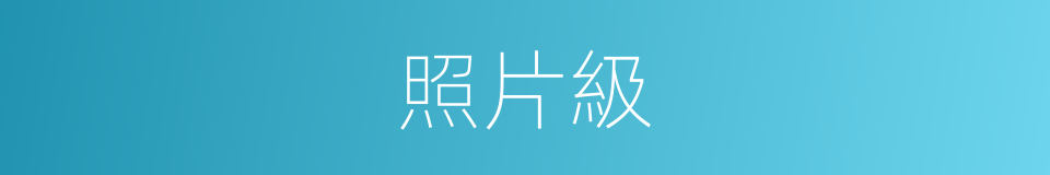 照片級的同義詞