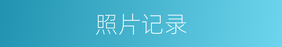 照片记录的同义词