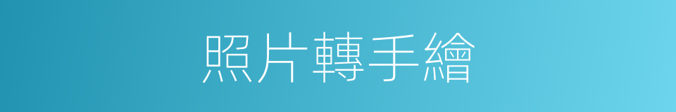 照片轉手繪的同義詞