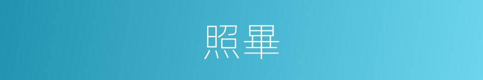 照畢的同義詞