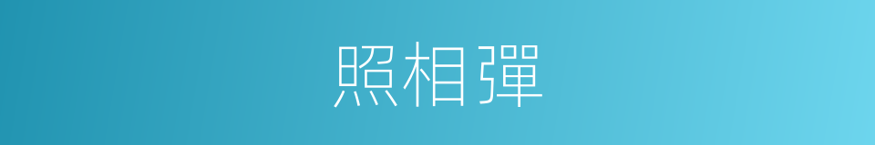 照相彈的同義詞