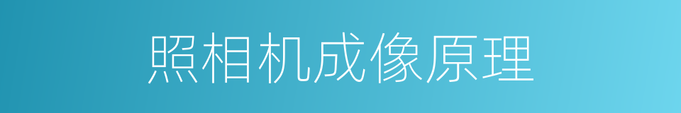 照相机成像原理的同义词