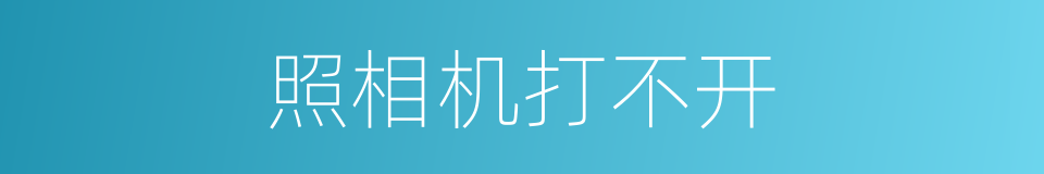 照相机打不开的同义词