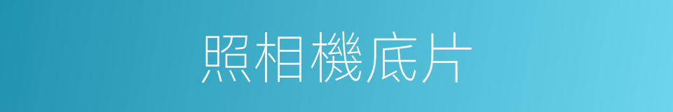 照相機底片的同義詞