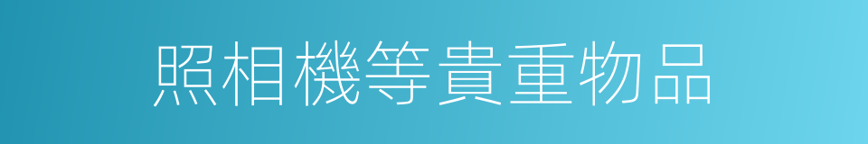 照相機等貴重物品的同義詞