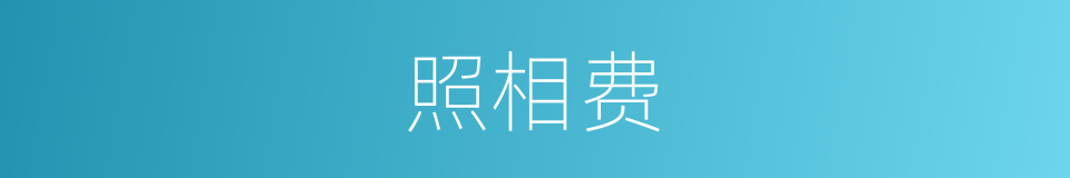 照相费的同义词