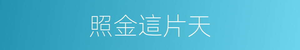 照金這片天的同義詞