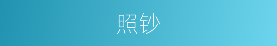 照钞的意思
