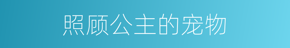 照顾公主的宠物的同义词