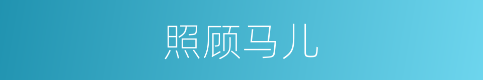 照顾马儿的同义词