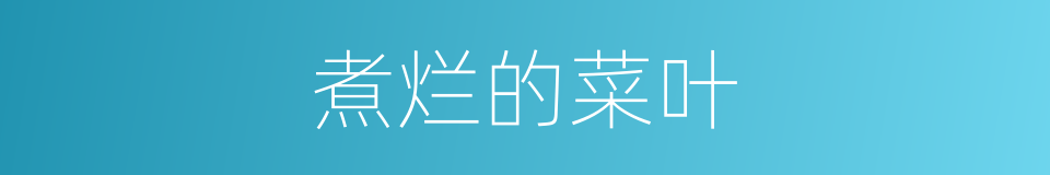 煮烂的菜叶的同义词