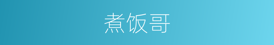 煮饭哥的同义词