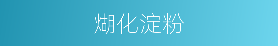 煳化淀粉的同义词