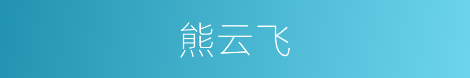 熊云飞的同义词