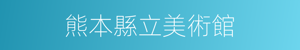 熊本縣立美術館的同義詞