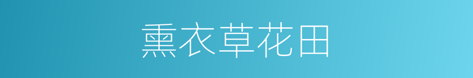 熏衣草花田的同义词