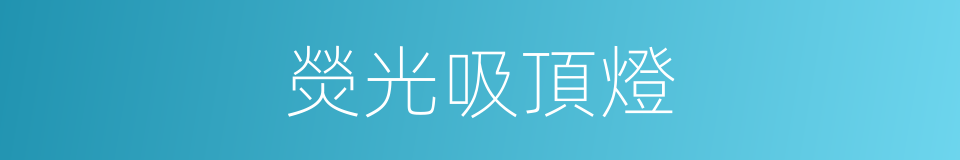 熒光吸頂燈的同義詞