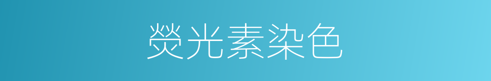 熒光素染色的同義詞